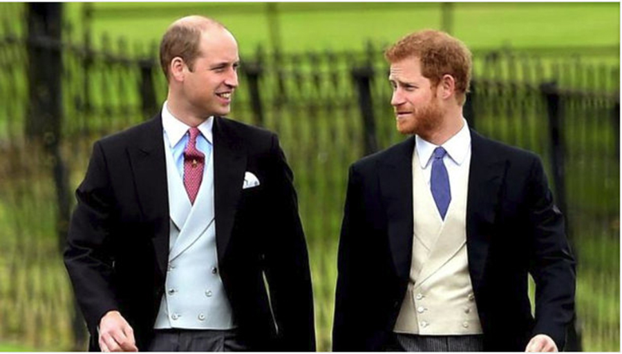 Pe prințul William și pe prințul Harry îi știe toată lumea, dar iată cum arată sora lor și ce nepoțică frumoasă au