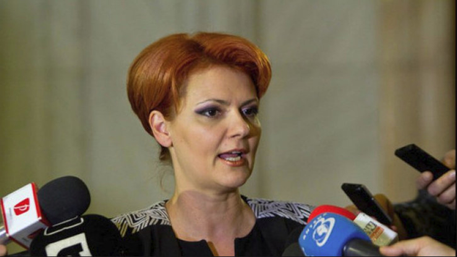 Lia Olguta Vasilescu, ministrul Muncii: “statul va plati suma de 2.250 de lei, echivalentul a 500 de euro, lunar…”
