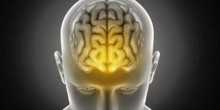 Cinci curiozități impresionante despre creierul uman, care îţi vor schimba viaţa