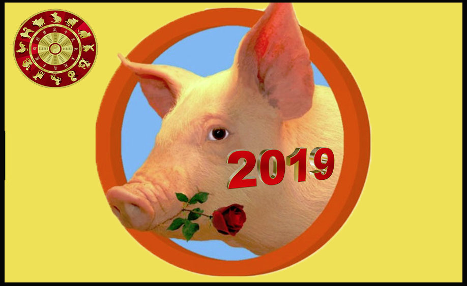 Zodiacul chinezesc 2019. Ce ne pregătește anul Porcului de pamant