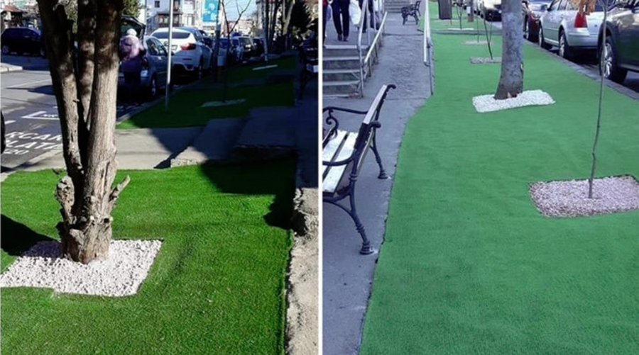 Primaria din Bacau a pus gazon artificial pe trotuare. De ce au recurs la aceasta solutie in locul ierbii naturale
