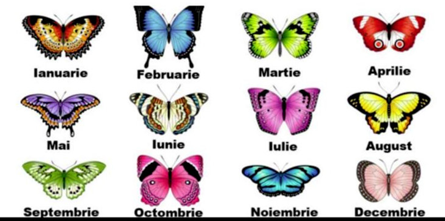 Alege fluturele ce corespunde lunii în care te-ai născut. Iata ce spune el despre personalitatea ta