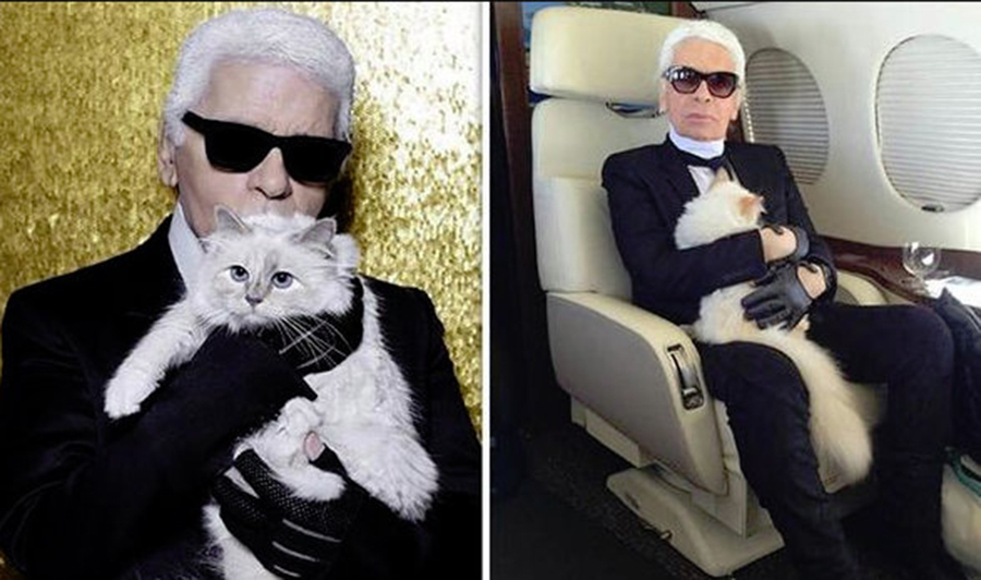 Ce avere a moștenit pisica lui Karl Lagerfeld (Chanel). Singura moștenitoare
