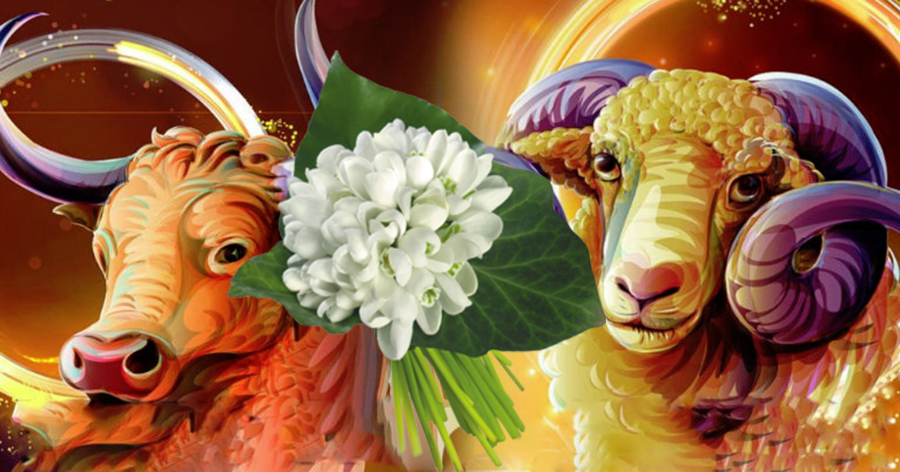 Horoscop martie 2019. Zodii protejate de astre in primăvara asta